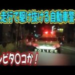 鳴り響くサイレン！職質拒否現場に駆け付けた自ら隊！若い男性が車外で必死の抵抗！