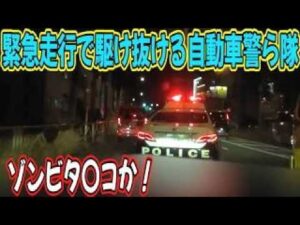 鳴り響くサイレン！職質拒否現場に駆け付けた自ら隊！若い男性が車外で必死の抵抗！