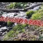 渓流釣りで警察官から職質まさかの理由に唖然w