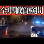 【神回】職質不可避検問！元警察官が現役警察官にガッツリ職質される。
