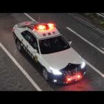 検挙の瞬間10連発SP！！！危篤を理由にゴネ続ける女・任意の採尿に応じないシャブ疑惑の男に令状請求・頭がイカれてる逆走スクーター・通学路でながらスマホ運転の悪質ダンプ・飲酒検問で自白した男を酒気帯び運