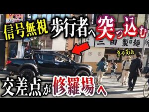 【警察官の職質から猛ダッシュ】軽バンが追跡パトカーからコンビニへ逃げ込むも即御用！／吉祥寺駅前でトライトンが小学生の通学路を赤信号無視で横断者妨害突破