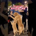 犬も応じる女性警察官による海外の可愛い職質(職務質問)