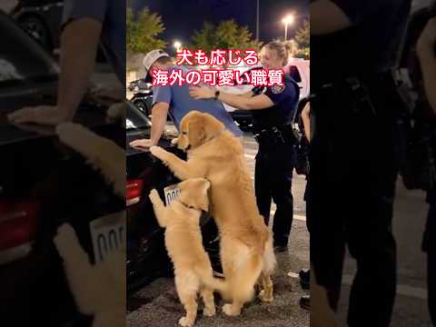 犬も応じる女性警察官による海外の可愛い職質(職務質問)
