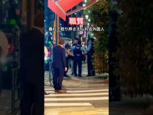 職質で暴れて警察官に取り押さえられる外国人(職務質問)