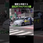 職質を突破する流石天下のプリウス様