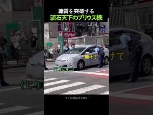 職質を突破する流石天下のプリウス様